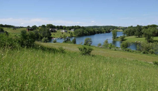 Lakeside Living in Lush, Green Wisconsin