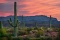 FIVE Lots - A Quiet Oasis at the Edge of Historic Downtown Willcox in Cochise County