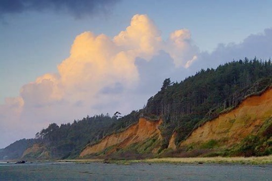 1/4 Mile from the Pacific Ocean Beach! Enjoy Grays Harbor, WA