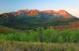 Scenic Landscapes in Utah!