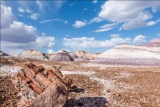 Iconic Vistas in Navajo County, Arizona