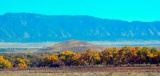 Own the Great Outdoors in Booming Valencia County, New Mexico!