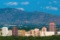 Two Adjacent Lots in New Mexico!