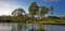 2 Adjacent Properties in the Heart of East Texas