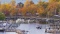 Live in the City of Benton Harbor, Michigan: Only One Mile from Lake Michigan!