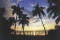 Own Your Very Own Property in the Sunshine State! Adjacent to Lot 30!