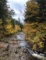 Incredible Outdoor Activities and Scenic Beauty in Antrim County, Michigan!