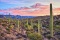 A Quiet Oasis at the Edge of Historic Downtown Willcox in Cochise County