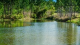 Welcome to Your New Home in Antrim County, Michigan!
