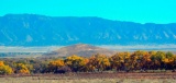 Own a Lot in Beautiful Valencia County, New Mexico