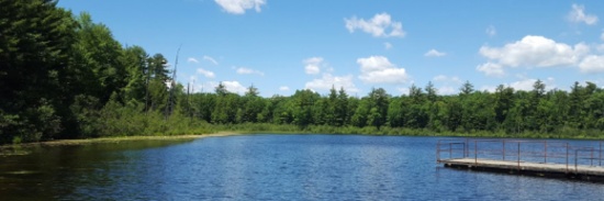 Own Land in Lake County, Michigan's Recreational Outdoor Paradise!