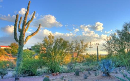 A Quiet Oasis at the Edge of Historic Downtown Willcox in Cochise County