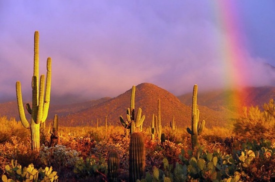 Twin Lakes Country Club in Cochise County, Arizona