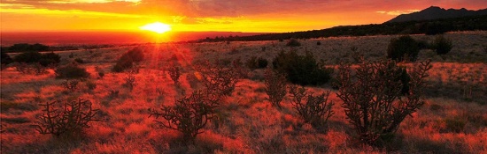 Pamper Yourself on Nearly an Acre in New Mexico!