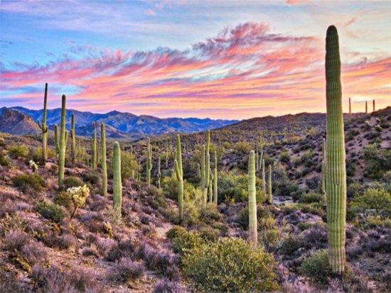 Beautiful Scenic Views on Your Very Own Land in Cochise County, Arizona!