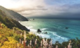 A Short Walk to the Beach on the California Coast!