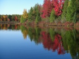 Beautiful Property Surrounded by Lakes in Michigan!