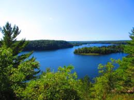 Own Land in Lake County.  Michigan's Recreational Outdoor Paradise!
