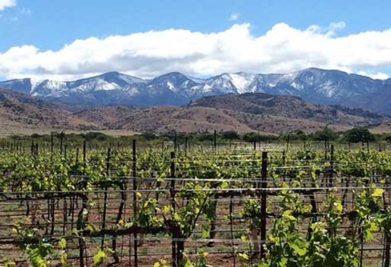 Dine with Some Fine Wine in Cochise County, Arizona!