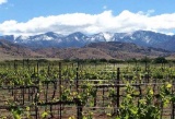 Dine with Some Fine Wine in Cochise County, Arizona!