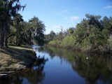 Own a Lot near Peace River in Charlotte County, Florida!