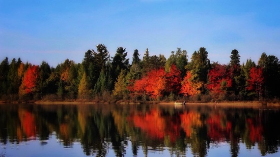 Incredible Outdoor Activities and Scenic Beauty in Antrim County, Michigan!