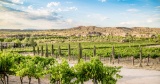 Dine with Some Fine Wine in Cochise County, Arizona!