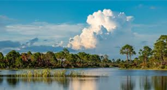 A Stone's Throw Away from the Peace River In Charlotte County, Florida!