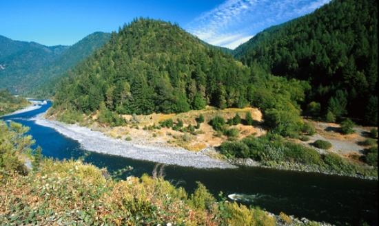 Scenic Wooded Lot in Northwestern California by the Klamath River!