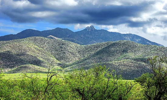 Submerge Yourself in the Beauty & History of Cochise County, Arizona!
