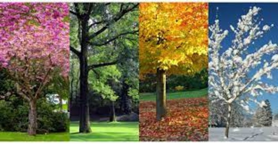 Four Seasons of Living & Scenic Beauty in Antrim County, Michigan!