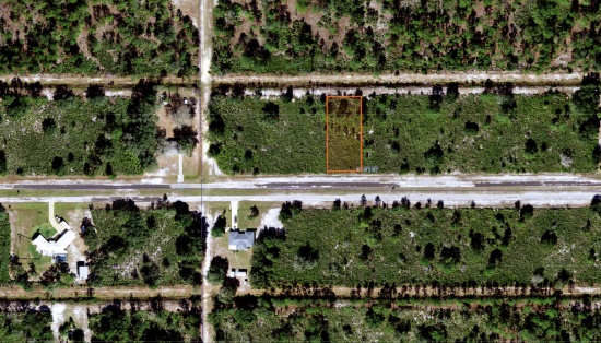 Buildable Lot in Beautiful Polk County, Florida!