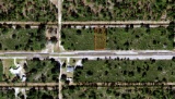 Buildable Lot in Beautiful Polk County, Florida!