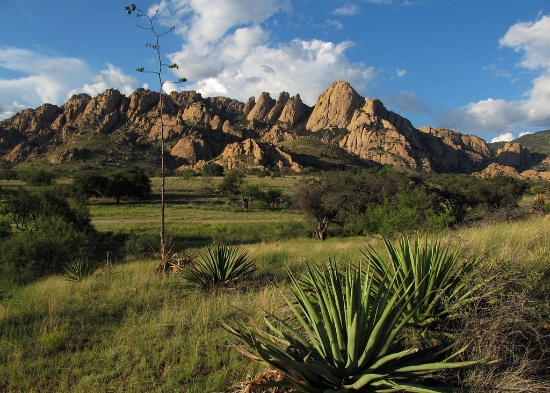 Cochise, Arizona has it all: Rugged Beauty & Community Charm!  Come & See for Yourself!