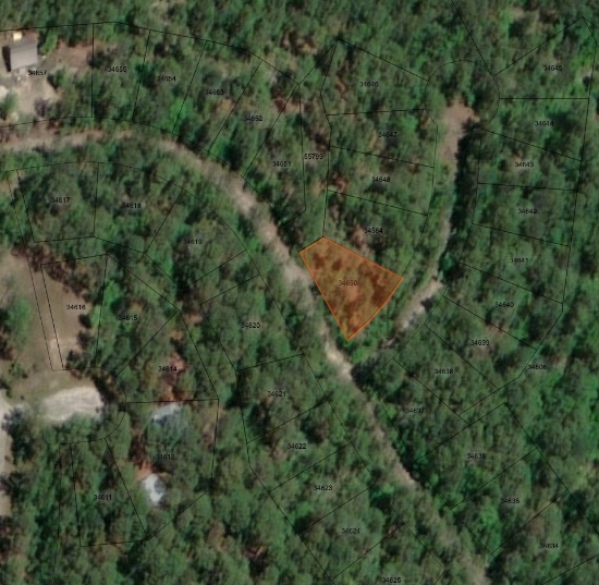 Own Property in the East Texas Pineywoods!