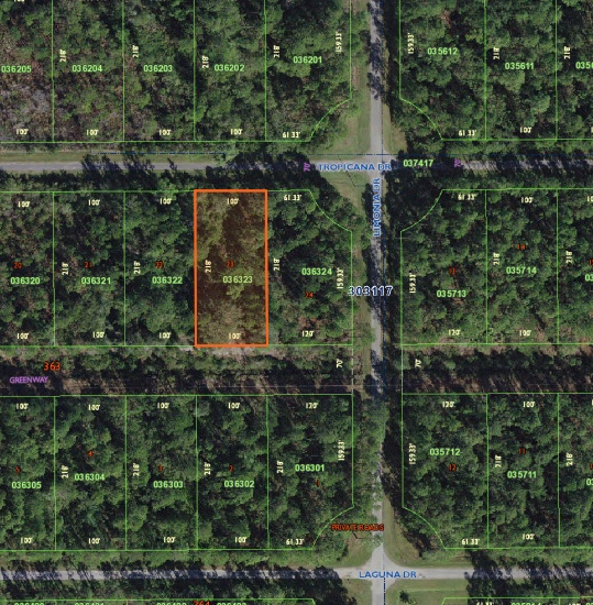 Build on this Half Acre Lot in Indian Lakes, Florida!