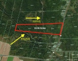 Own 53 Acres with Two Brooks on Route 1 in Maine!