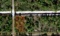 Build on this Half Acre Lot in Indian Lakes, Florida!