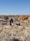 Invest in Land in Valencia County, New Mexico!