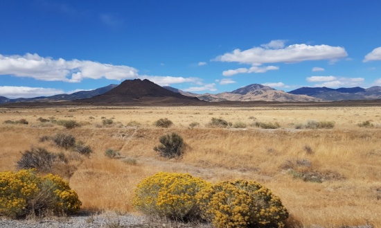 Escape to Nine Acres in the High Desert in Elko County, Nevada!