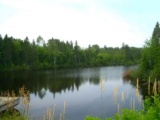 Over Four Acres of Beautiful Lakefront Property in Aroostook County, Maine!