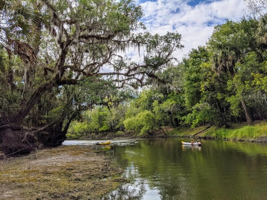 Stroll to Whidden Bay and the Peace River in Charlotte County, Florida!