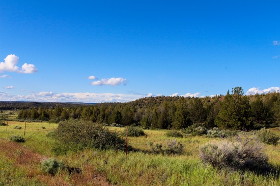 Escape the City on Nearly an Acre in Beautiful Modoc County, in the Northeast Corner of California!