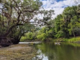 Stroll to Whidden Bay and the Peace River in Charlotte County, Florida!