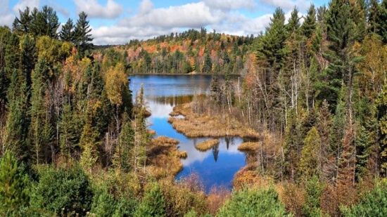 Fifty Acres Near Lake Superior in Marquette County, Michigan!