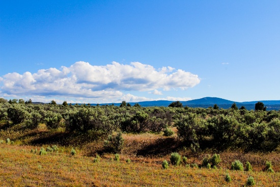 Build or Camp on this One Acre Lot in Modoc County, California!