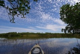 Steps from the Whidden Bay, in Charlotte County, Florida!