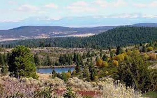 Live or Camp on Your 1.33 Acres of Huge Pines in Peaceful California Pines, Modoc County, California
