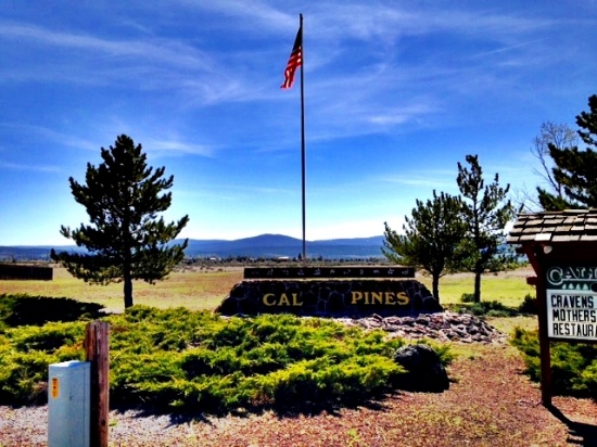 Be Surrounded by Tall Pines in the California Pines Community, California!
