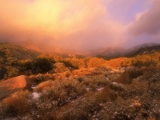 Mesmerizing New Mexico Mountain Views!